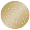 vidaXL Rain Shower Head Stainless Steel 20 cm Round Gold