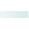 vidaXL Shelf Panel Glass Clear 100x25 cm