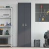 vidaXL Storage Cabinet with Storage 2 pcs Anthracite 60 x 40 x200 cm