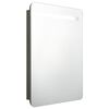 vidaXL LED Bathroom Mirror Cabinet Anthracite 60x11x80 cm