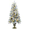 Product Thumbnail Image 4 of 8