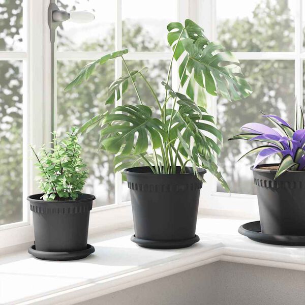 Showing Product Image 4 of 12