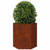 Product Thumbnail Image 6 of 16