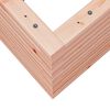 vidaXL Garden Planter 80x80x46 cm Solid Wood Douglas
