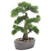 Emerald Artificial Cedar Bonsai on Brown Plate 45 cm