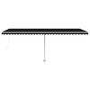vidaXL Freestanding Manual Retractable Awning 600x300 cm Anthracite