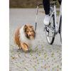 TRIXIE Dog Biker Cycling Leash Set Black 1287