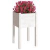 vidaXL Garden Planters 2 pcs White 40x40x70 cm Solid Pinewood