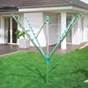 Product Thumbnail Image 11 of 19