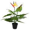 Product Thumbnail Image 3 of 6