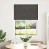 vidaXL Pleated Blind Black 95x150 cm Fabric Width 94.4 cm Polyester