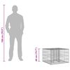 Product Thumbnail Image 10 of 10