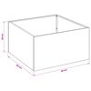 Product Thumbnail Image 9 of 10