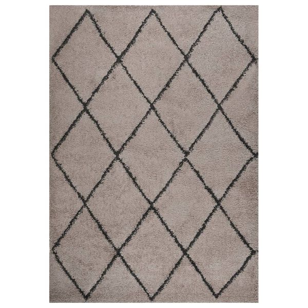 vidaXL Shaggy Rug High Pile Beige and Anthracite 120x170 cm