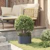 vidaXL Garden Planter Anthracite 30 x 30 x 20 cm Cold-rolled Steel
