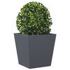 Product Thumbnail Image 3 of 10