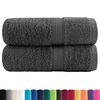 vidaXL Premium Wash Towels "SOLUND" 2 pcs Anthracite 30x30 cm 600 gsm