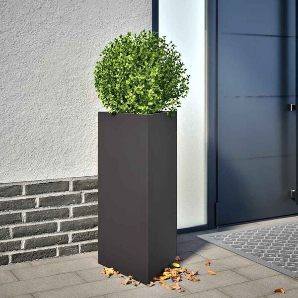 Showing Product Image 2 of 10