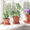 Product Thumbnail Image 4 of 10