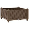 Product Thumbnail Image 2 of 8