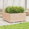 vidaXL Garden Planter 100x100x49.5 cm Solid Wood Pine
