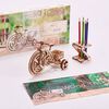 Wood Trick Wooden Scale Model Kit Bicycle