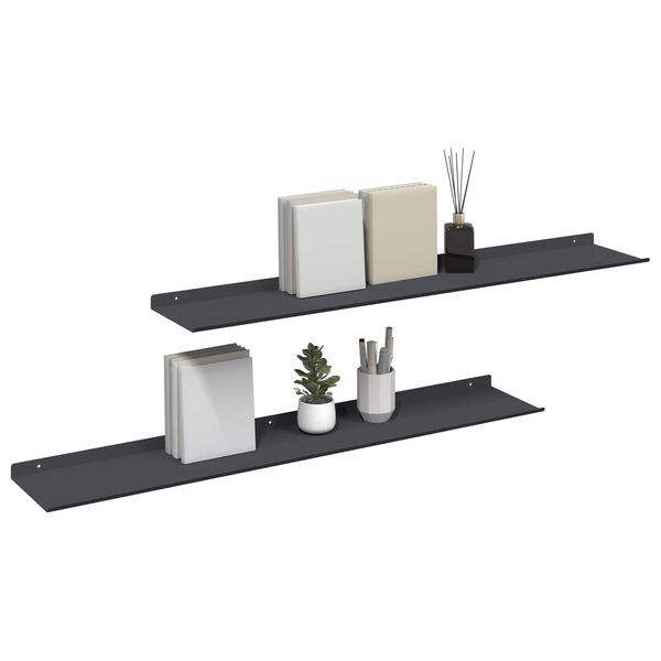 vidaXL Floating Shelf 2 pcs Anthracite 100 x 18 x 2.5 cm Steel