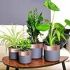 Product Thumbnail Image 2 of 7