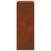 vidaXL Parcel Drop Box Rusty 41 x 38 x 103 cm Weathering Steel