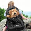 Kurgo Dog Backpack G-Train K9 Black