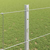 Product Thumbnail Image 4 of 14