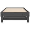 vidaXL Pull-out Day Bed without Mattress Grey 2x(90x190) cm