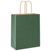 vidaXL Paper Bags 50 pcs with Handles Green 18x8x22 cm