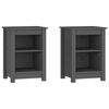 vidaXL Bedside Cabinet | Set of 2 | Grey | Solid pine wood | 40x35x55 cm