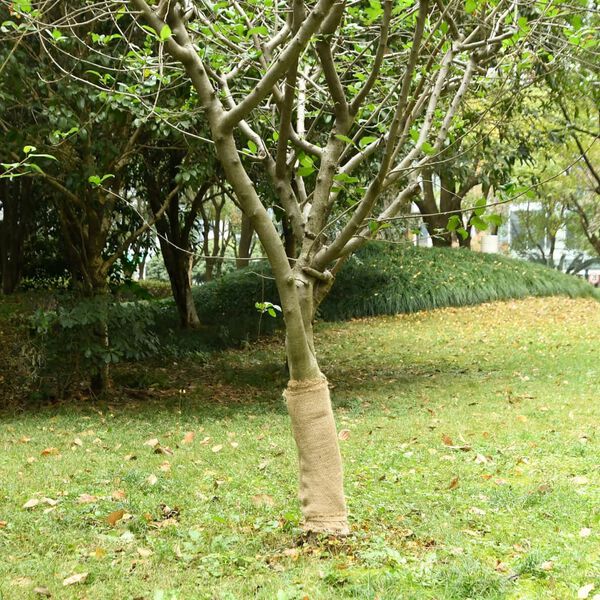 Showing Product Image 2 of 7