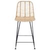 vidaXL Bar Chair 2 pcs Natural 44.5 x 54.5 x 97.5 cm Rattan and Iron