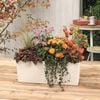 LECHUZA Planter Balconera Color 50 ALL-IN-ONE White 15670