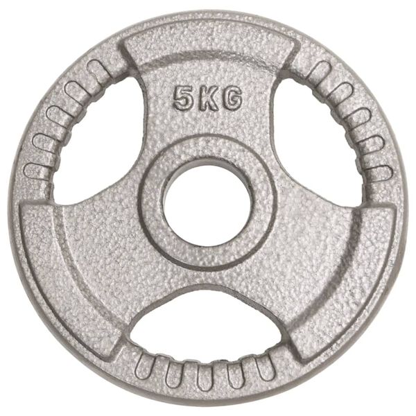 vidaXL Olympic Weight Plates 2 pcs 10 kg Cast Iron