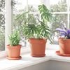 Product Thumbnail Image 4 of 12