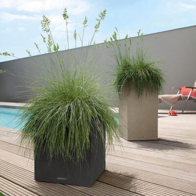 LECHUZA Planter CANTO Stone 30 Low ALL-IN-ONE Stone Grey