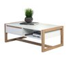 Trendteam Coffee Table Dakota White and Artisan Oak