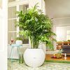 LECHUZA Planter PURO Color 50 ALL-IN-ONE Diameter 50 cm White