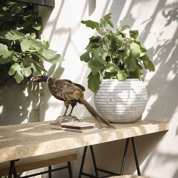 Capi Vase Nature Row Ball 40x32 cm Ivory KRWI270