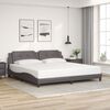 vidaXL Bed Frame with LED without Mattress "Zadar" Grey 200x200 cm