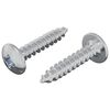 vidaXL Self Tapping Nail 2 pcs Zinc-coated 4 x 20 mm Steel