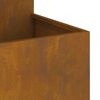 vidaXL Garden Planter Rusty 100 x 100 x 60 cm Weathering steel