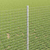 Product Thumbnail Image 4 of 17