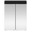 vidaXL Bathroom Mirror Cabinet with Door TULUM Black 60 x 16.5 x 78 cm