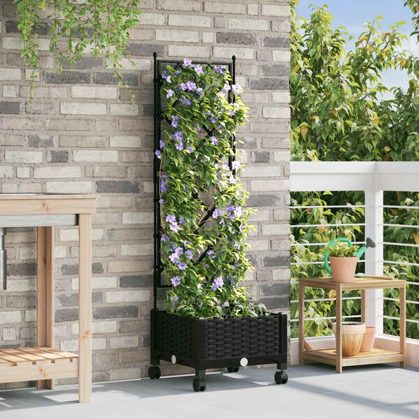Showing Product Image 2 of 7