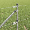 Product Thumbnail Image 5 of 18